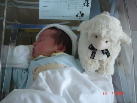 Nathan et le petit mouton de NZ