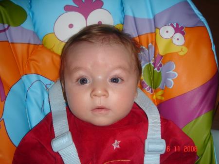 dans la chaise haute