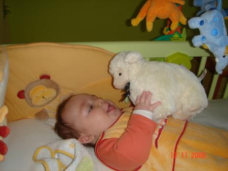 le mouton m'interesse